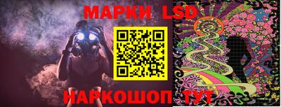 гашик Новозыбков