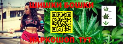гашик Новозыбков