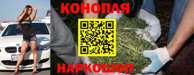гашик Новозыбков