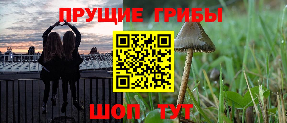 Псилоцибиновые грибы Cubensis  Вход с VPN  закладка  Самара 