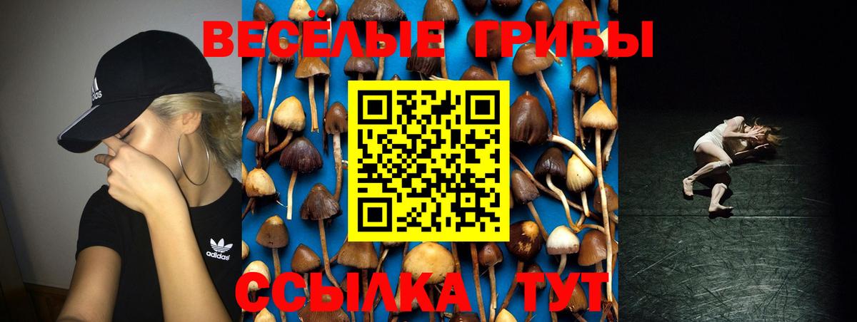 Галлюциногенные грибы ЛСД Самара